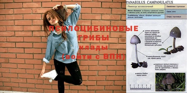 2c-b Надым