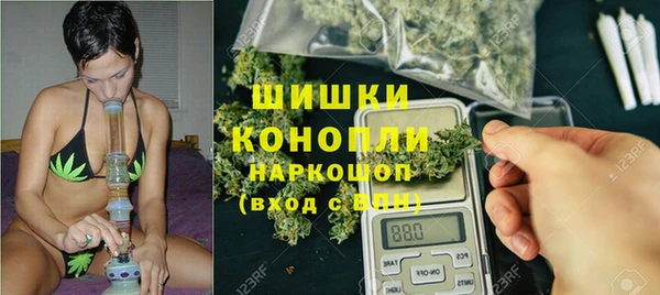 ГАЛЛЮЦИНОГЕННЫЕ ГРИБЫ Навашино